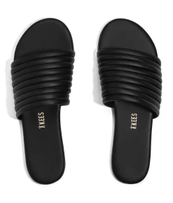 Caro - TKEES