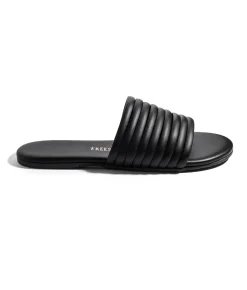 Caro - TKEES