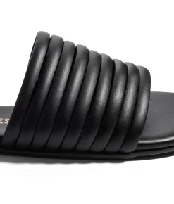 Caro - TKEES