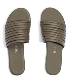 Caro - TKEES