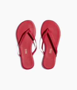 Solids - TKEES