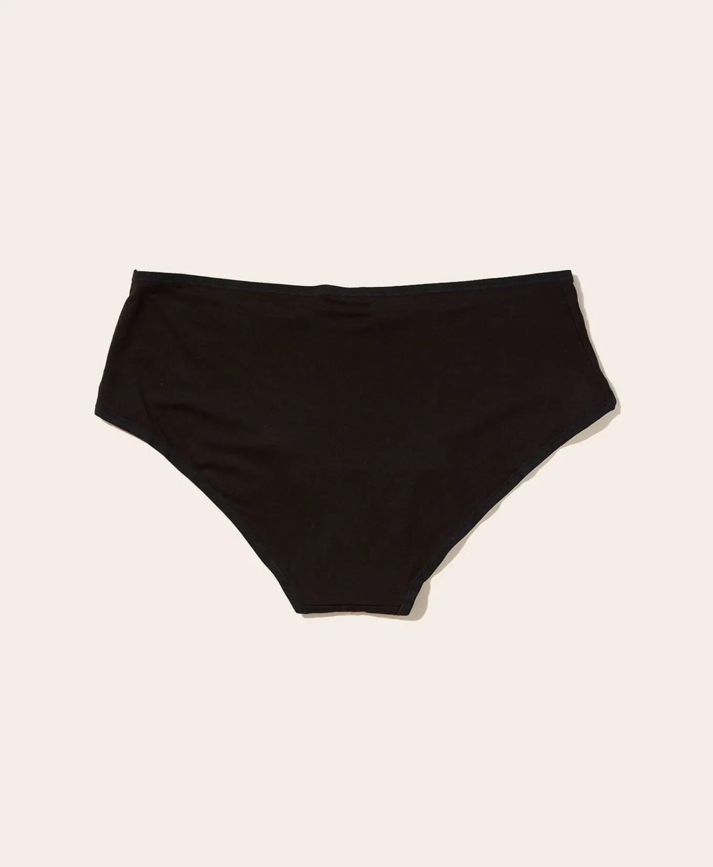 The Brief Panty - Rayon - Black